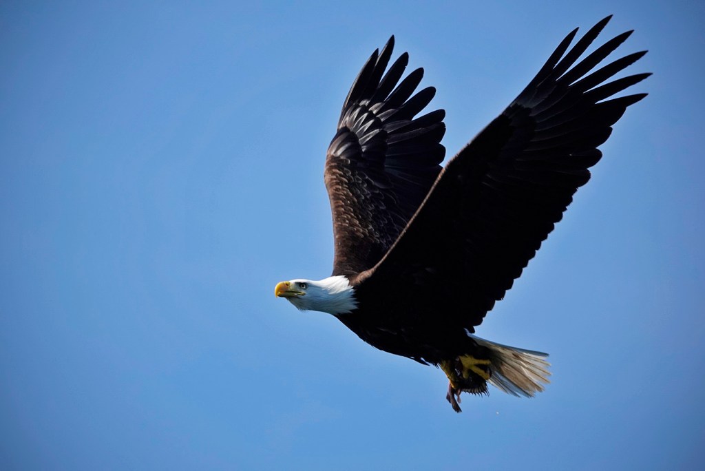 012 – Alaska! – 21st May&nbsp;2019